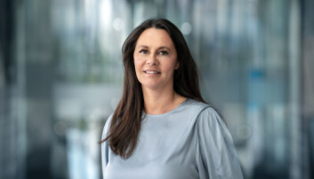 Birgitte Engebretsen, Telenor Birgitte Engebretsen, Telenor