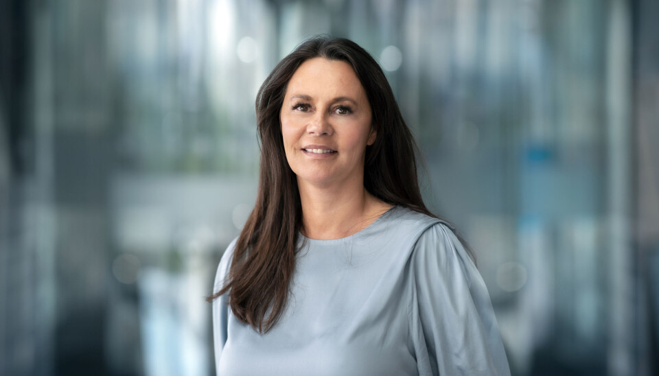 Birgitte Engebretsen, Telenor