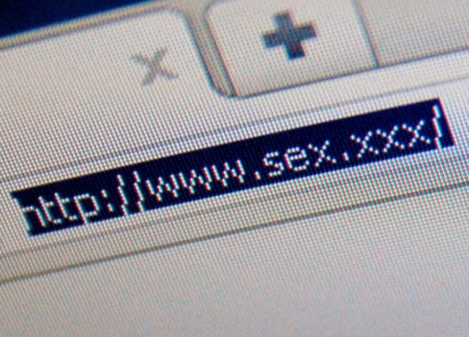 TILGJENGELIG: I 2011 fikk Icann godkjent sexindustriens våte drøm: .xxx. Nå skal også .porn og .sucks bli tilgjengelig, og det for hvermansen. Det får bedrifter og kjendiser til å skjelve i buksene.
