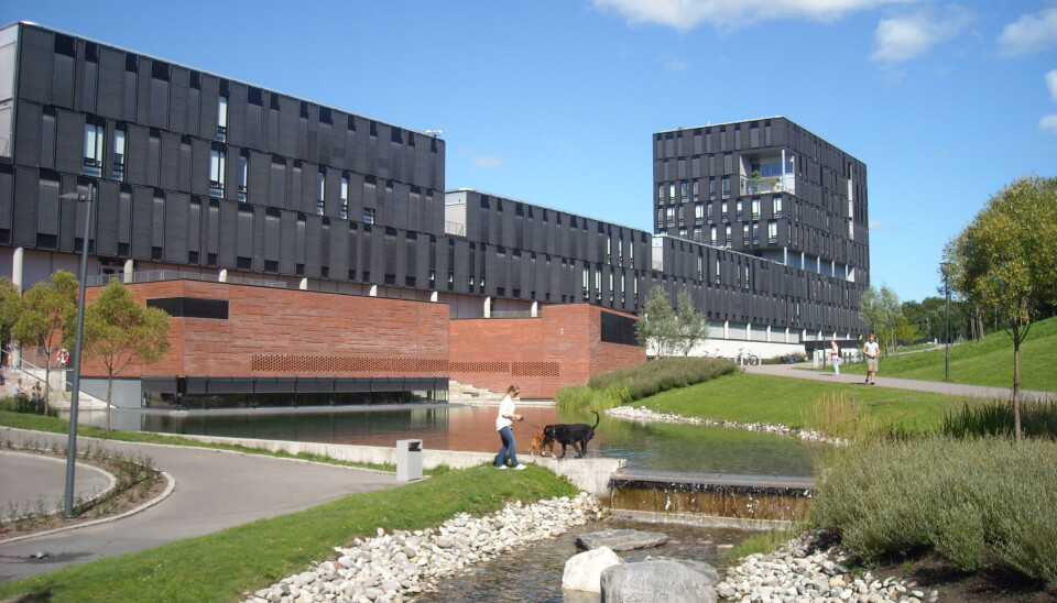 FORVENTNINGER: Forsknings- og høyere utdanningsminister Ola Borten Moe (Sp) sier han forventer statlige universiteter og høgskoler kun bruker konsulenter i tilfeller der de ikke kan bruke interne ressurser og kompetanse. I fjor brukte skolene nær én milliard kroner på konsulenttjenester. Bidet er av informatikkbygningen på Universitetet i Oslo (Ole-Johan Dahls hus) (Foto: UiO/Wikimedia/Kjetil Ree ) FORVENTNINGER: Forsknings- og høyere utdanningsminister Ola Borten Moe (Sp) sier han forventer statlige universiteter og høgskoler kun bruker konsulenter i tilfeller der de ikke kan bruke interne ressurser og kompetanse. I fjor brukte skolene nær én milliard kroner på konsulenttjenester. Bidet er av informatikkbygningen på Universitetet i Oslo (Ole-Johan Dahls hus) (Foto: UiO/Wikimedia/Kjetil Ree )