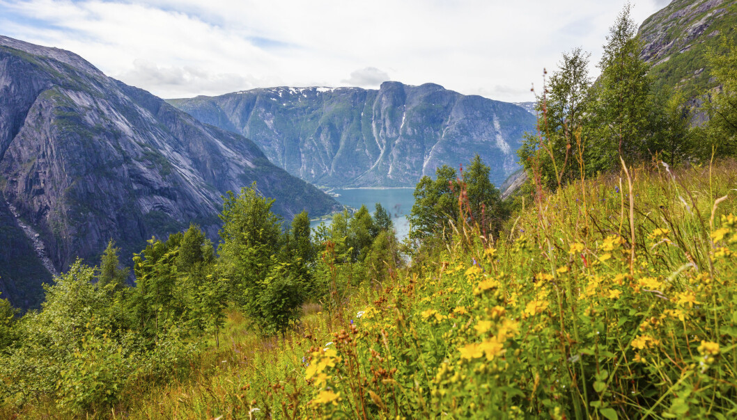 STOR AVTALE: Telia skal levere 20.000 mobilabonnement til kommuner i Rogaland og Vestland. (Foto: Istock) STOR AVTALE: Telia skal levere 20.000 mobilabonnement til kommuner i Rogaland og Vestland. (Foto: Istock)