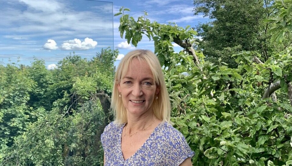 VINGÅRD: Anne Sofie i Cognizant bruker tid på vinrankene på feriehuset i Italia. (Bilde: Privat) VINGÅRD: Anne Sofie i Cognizant bruker tid på vinrankene på feriehuset i Italia. (Bilde: Privat)