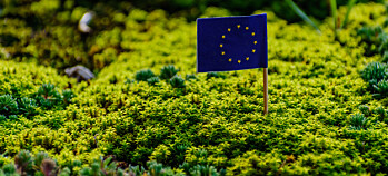 Grønt er skjønt i EU