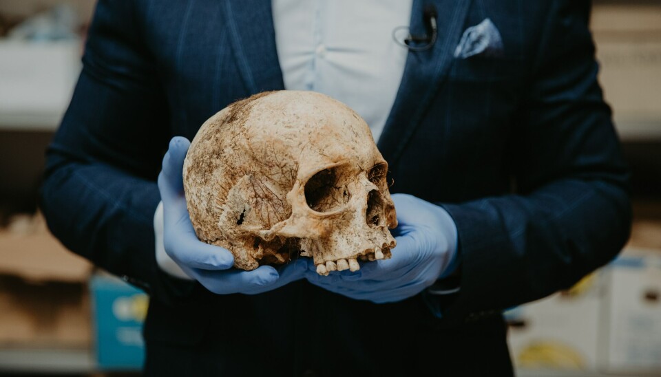 DIGITALISERING: Finansiering av fem forskningsprosjekter ved UiB skal sikre digitalisering. (Foto: Unsplash) DIGITALISERING: Finansiering av fem forskningsprosjekter ved UiB skal sikre digitalisering. (Foto: Unsplash)