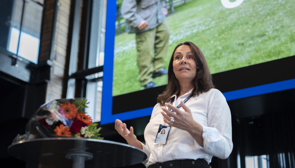 LEVERER TIL OSLO: Telenor Norge-sjef Birgitte Engebretsen er godt fornøyd etter å ha landet Oslo kommune som kunde. (Foto: Martin Fjellanger/Telenor) LEVERER TIL OSLO: Telenor Norge-sjef Birgitte Engebretsen er godt fornøyd etter å ha landet Oslo kommune som kunde. (Foto: Martin Fjellanger/Telenor)