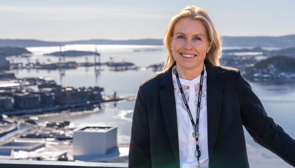 LEDER: Hege D. Olsnes kommer fra stillingen som leder for forretningsutvikling i Sopra Steria i Stavanger. (Foto: Sopra Steria)