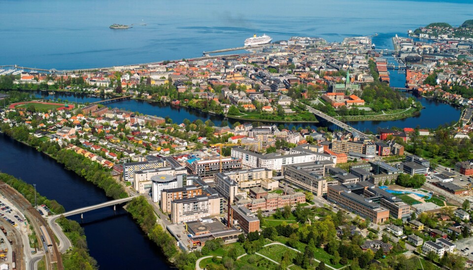 NÆR DØDEN? Artikkelforfatteren mener situasjonen for Helseplattformen er svært alvorlig. (Foto: St Olavs Hospital) NÆR DØDEN? Artikkelforfatteren mener situasjonen for Helseplattformen er svært alvorlig. (Foto: St Olavs Hospital)