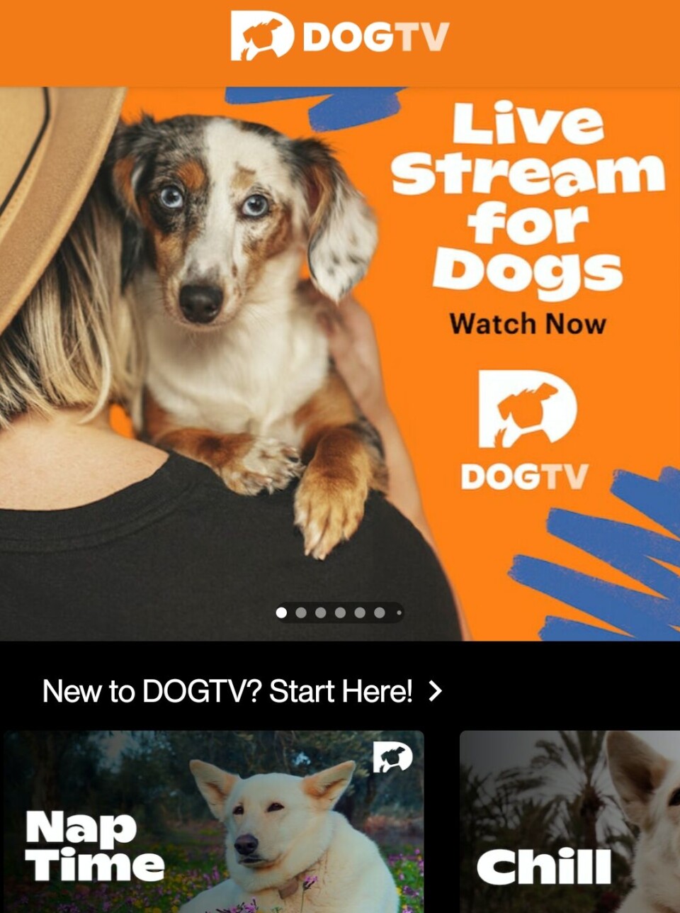 DOGTV: Strømmetjenesten frister med programmer for både to- og firbeinte, og skal visstnok være redningen for mang en utfordring. (Skjermdump: DogTV)