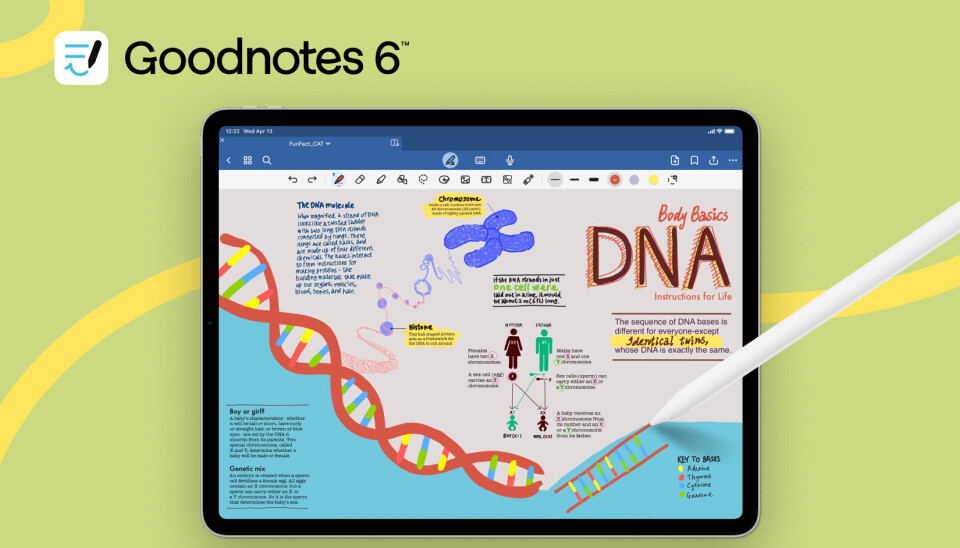 Foto: Goodnotes Foto: Goodnotes