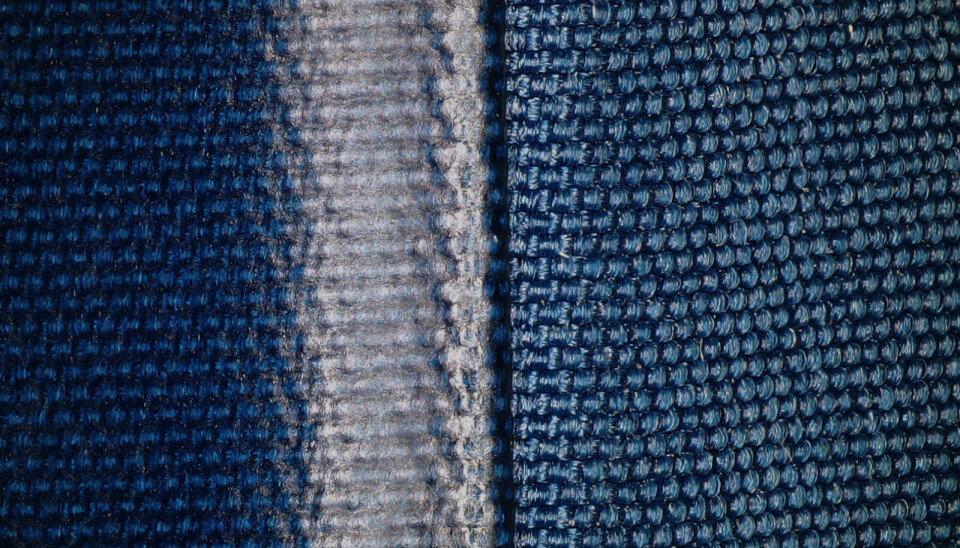 Foto: Evident / iFixit Foto: Evident / iFixit