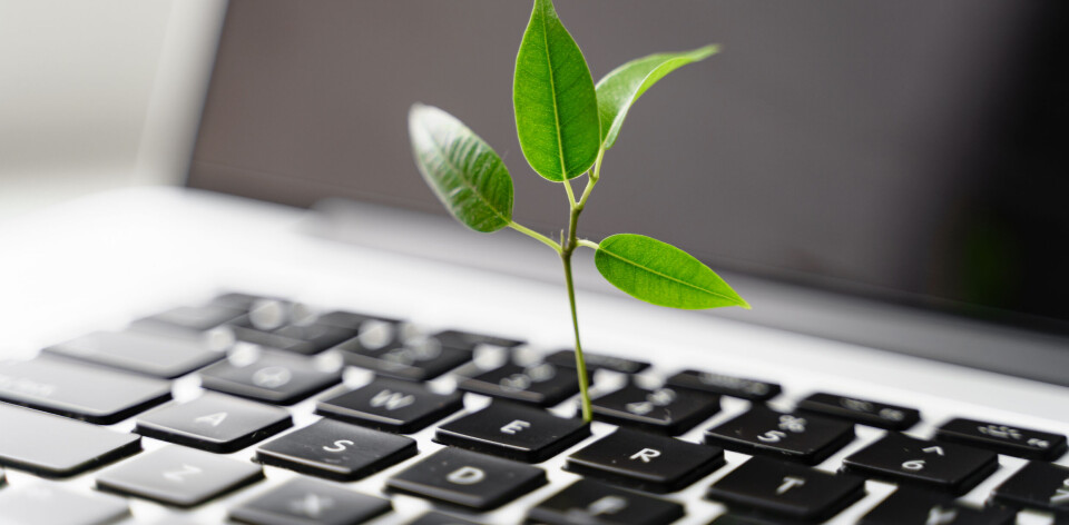 IKKE VALGFAG: Klimatiltak og bærekraft er ikke lenger valgfag. Å forsinke nødvendige tiltak betyr at vi løper fra ansvaret vårt som generasjon, skriver Nelly Flatland. (Foto: Istock.com)