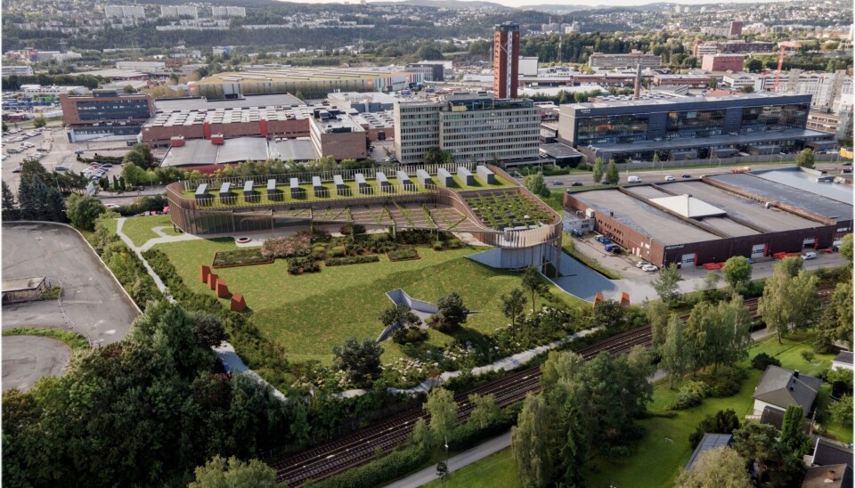 NYTT EKSPORTPOTENSIAL: Stargate er siste skuddet på stammen i en voksende industri. Green Mountain har allerede bygget flere datasentre, Google investerer nesten 7 milliarder kroner i Skien, Microsoft har etablert to Azure-regioner og Telenor, Hafslund og HitecVision bygger Skygard i Oslo. Sammen peker dette mot et nytt eksportpotensial; regnekraft og digitale tjenester levert fra Norge, skriver Cato Lammenes.