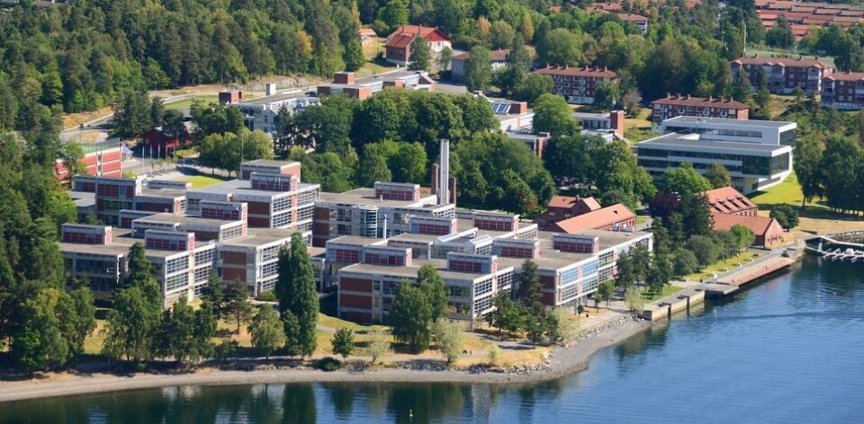 DANSK: DNV Ventures første kjøp er allerede gjort og fondet eier nå det danske selskapet 2021.AI. Dette er et scaleup-selskap innen ansvarlig AI. (Foto: DNV)