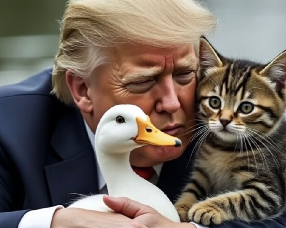 KUNSTIG: Republikanernes presidentkandidat Donald Trump har på sin egen konto lenket til et kunstig bilde av seg selv. Bildet viser Trump i et luksusfly, omgitt av katter og hvite gjess. (Skjermdump: Facebook)