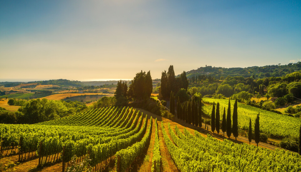 SATSER: I Italia satser Microsoft for å skape en massiv datasenterregion for blant annet å møte regulatoriske krav fra EU: (Foto: Istock)