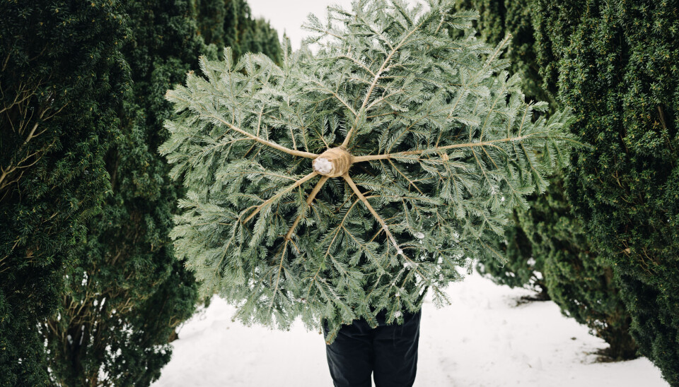 FRAMTIDEN: Selv om julebordet dessverre måtte utgå i år, borer vi i Syte Data oss inn i framtiden med hjelp av kunstig intelliglens. (Foto: Istock)