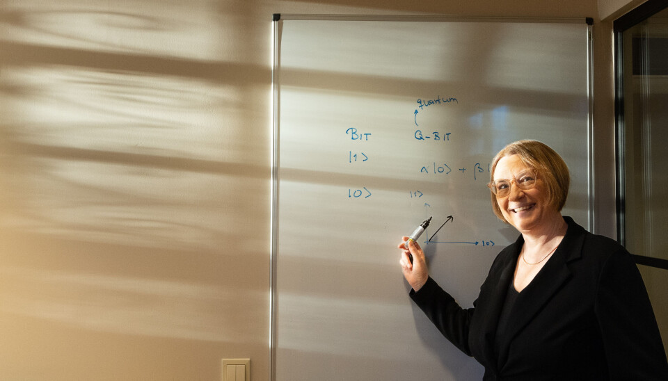 UTROLIG RACE: – Det foregår nå et utrolig race. Alle er redde for at andre skal få bedre teknologi, forteller professor Susanne Viefers på Fysisk institutt. (Foto: Yngve Vogt)