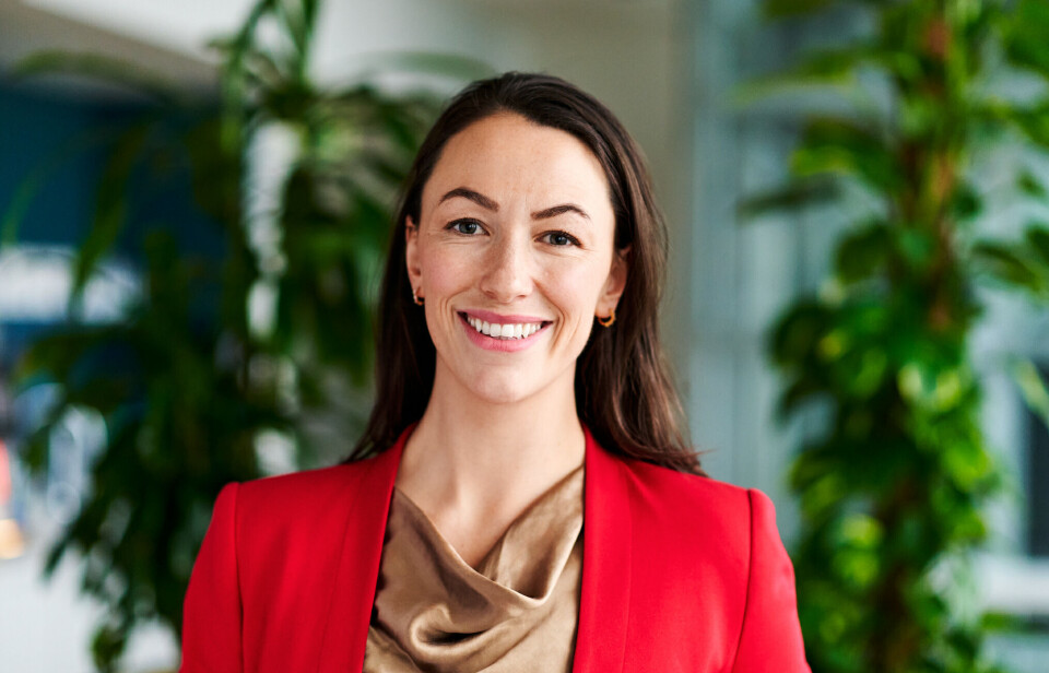 Hanne Lystad, Virke