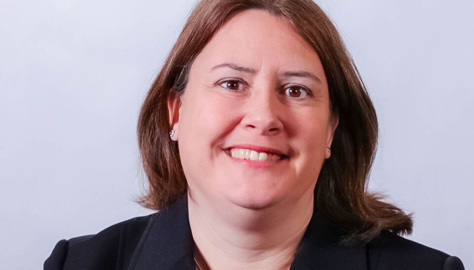Anne Helene Haug, Sikkerhetsansvarlig i Canon Norge