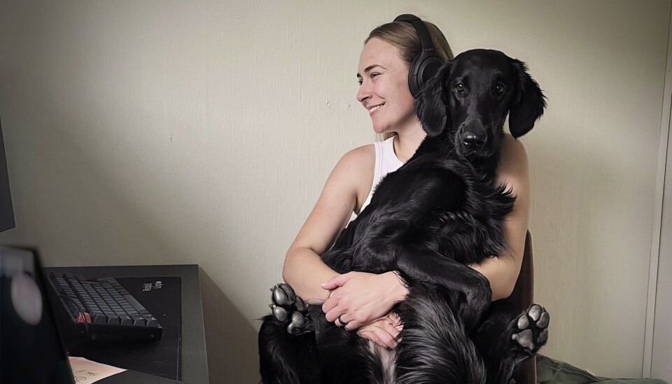 HJEMMEKONTOR: Thea Hermansen Bakke er fostermor for en katt fra Dyrebeskyttelsen. Da passer det veldig fint med hjemmekontor. Hun har også en hund, som sørger for mange fine skogsturer i løpet av sommeren.