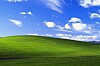 Windows XP Bliss