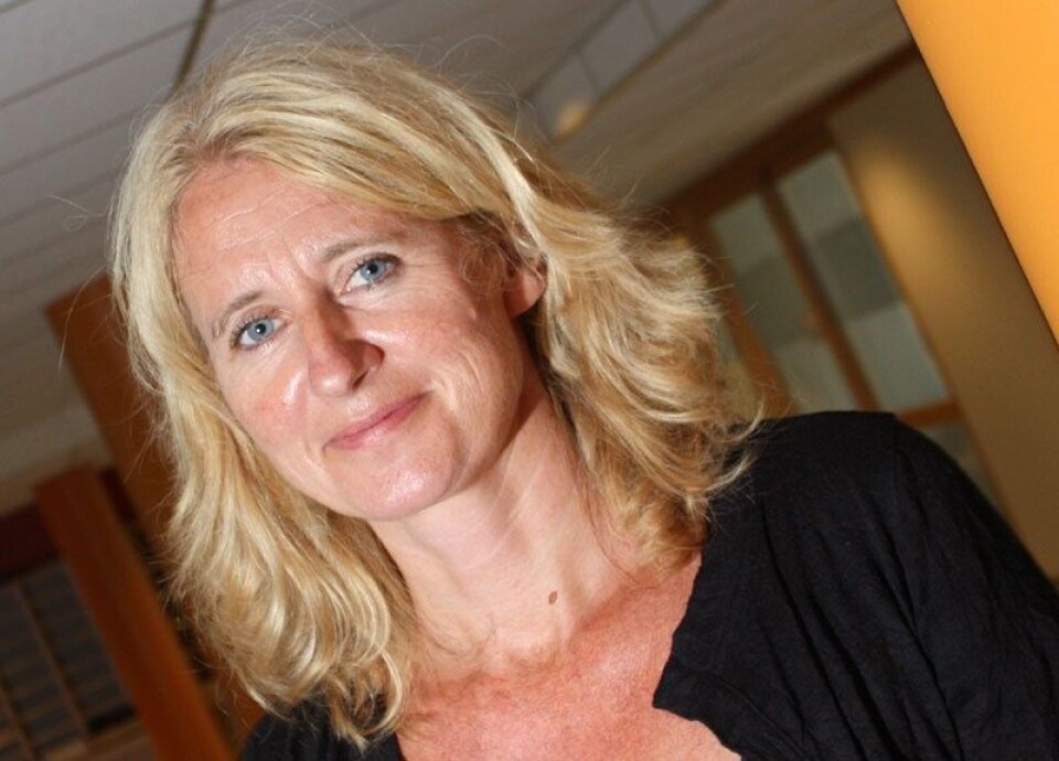 TUNGVINTE LØSNINGER: Christine Bergland i Helsedirektoratet mener mange av dagens løsninger er tungvinte å bruke og krever for mye dobbeltregistrering. TUNGVINTE LØSNINGER: Christine Bergland i Helsedirektoratet mener mange av dagens løsninger er tungvinte å bruke og krever for mye dobbeltregistrering.