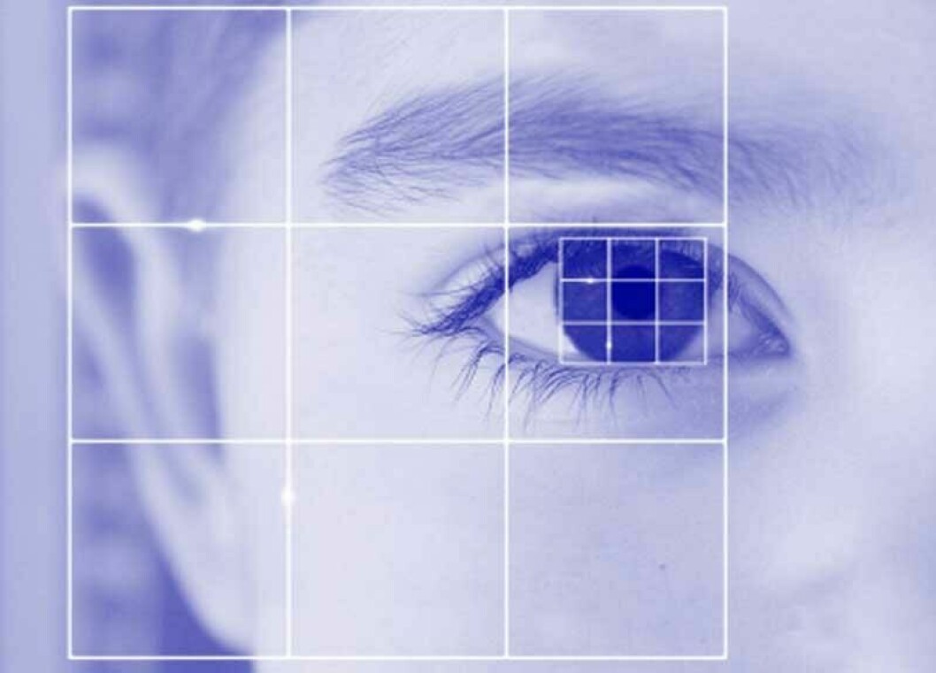 TRYNEFAKTOREN: IT-gigantene Samsung og Microsoft går for øyet eller ansiktsform for sikker, biometrisk innlogging til smartenheter. Illustrasjon: Istockphoto/Jenny Horne