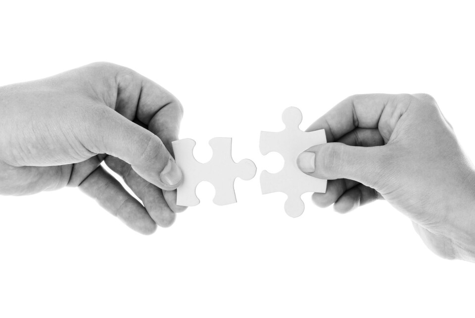 SAMARBEID: Appsense tenker nytt og satser på globalt partnerprogram. (Illustrasjon: Publicdomainpictures/Pixabay.com) SAMARBEID: Appsense tenker nytt og satser på globalt partnerprogram. (Illustrasjon: Publicdomainpictures/Pixabay.com)