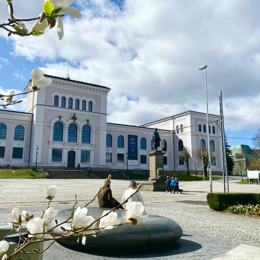 POPULÆRT: Universitetet i Bergen er et populært studiested. Over 12.200 har studier ved UiB som førstevalg.(Foto: UiB)
