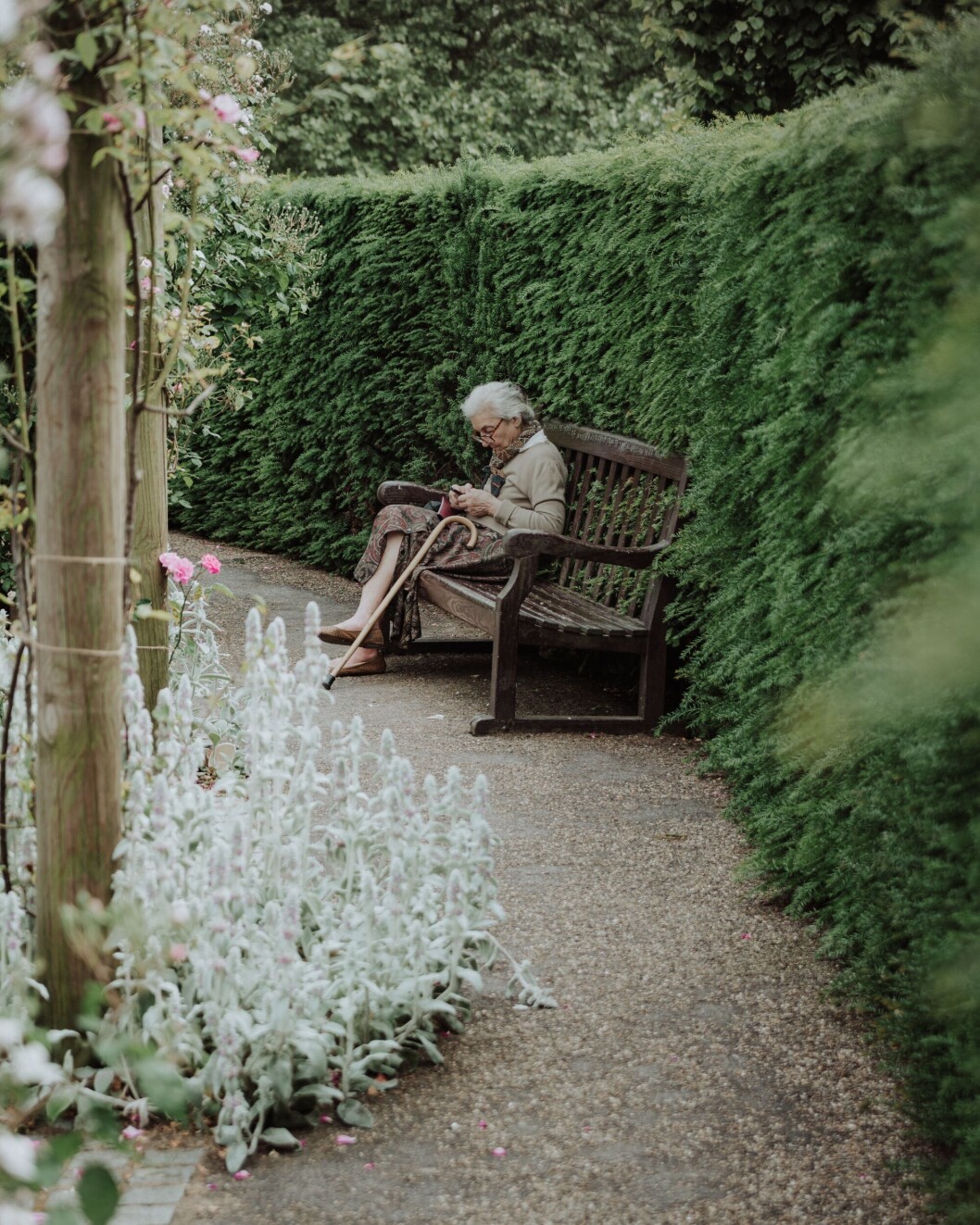 DIGITALE GENERASJONSSKILLER: Skillene viskes ut når eldre forbrukere nå handler mer på nett enn den yngre generasjonen. (Foto: Andreea Popa/ Unsplash) DIGITALE GENERASJONSSKILLER: Skillene viskes ut når eldre forbrukere nå handler mer på nett enn den yngre generasjonen. (Foto: Andreea Popa/ Unsplash)