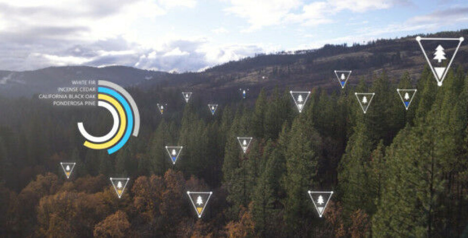 OVERSIKT: Ved bruk av kunstig intelligens kan skogbrukere overvåke sine skogsområder og dra nytte av innsikt og data. Foto: Prosjekt SilviaTerra/ Microsoft OVERSIKT: Ved bruk av kunstig intelligens kan skogbrukere overvåke sine skogsområder og dra nytte av innsikt og data. Foto: Prosjekt SilviaTerra/ Microsoft
