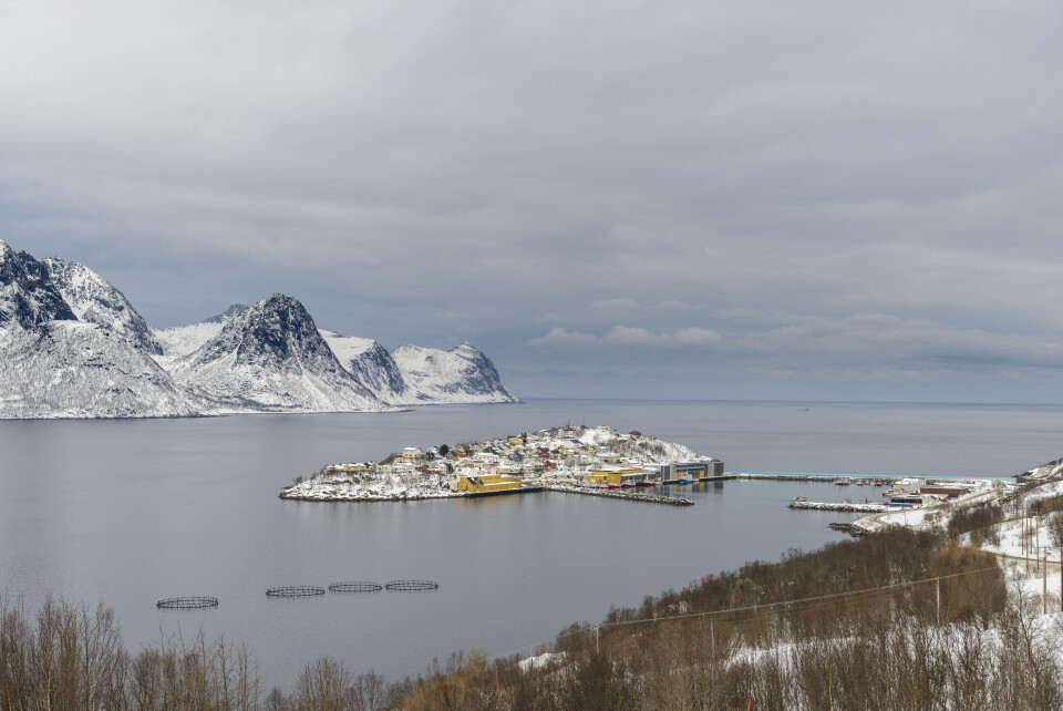 SENJA: Forskere, næringsliv og kraftprodusente har slått seg sammen og dannet innovasjonsprosjektet Smart Senja. (Illustrasjonsfoto: iStock) SENJA: Forskere, næringsliv og kraftprodusente har slått seg sammen og dannet innovasjonsprosjektet Smart Senja. (Illustrasjonsfoto: iStock)