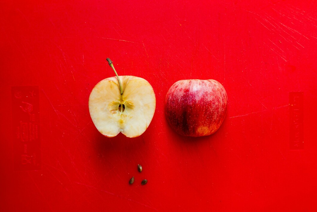 OPPDELT: Apple dropper Intel, men Intel bør se nye muligheter. Foto:Louis Hansel/Unsplash OPPDELT: Apple dropper Intel, men Intel bør se nye muligheter. Foto:Louis Hansel/Unsplash