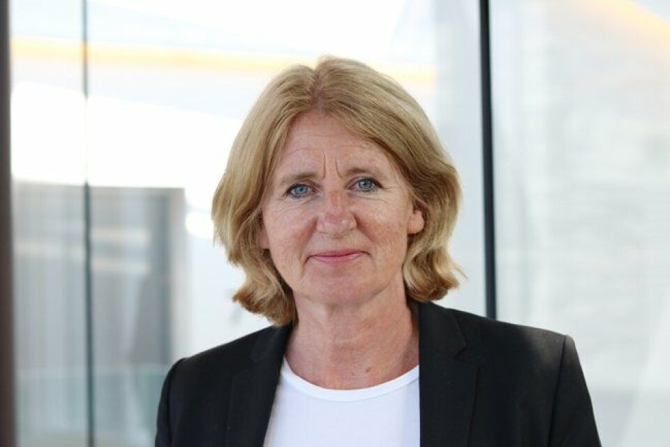 TREKKER SEG: Christine Bergland trekker seg som leder for ehelse-direktoratet. Det ble for mye Møllers tran, skriver artikkelforfatterne. (Foto: Ehelse-direktoratet) TREKKER SEG: Christine Bergland trekker seg som leder for ehelse-direktoratet. Det ble for mye Møllers tran, skriver artikkelforfatterne. (Foto: Ehelse-direktoratet)