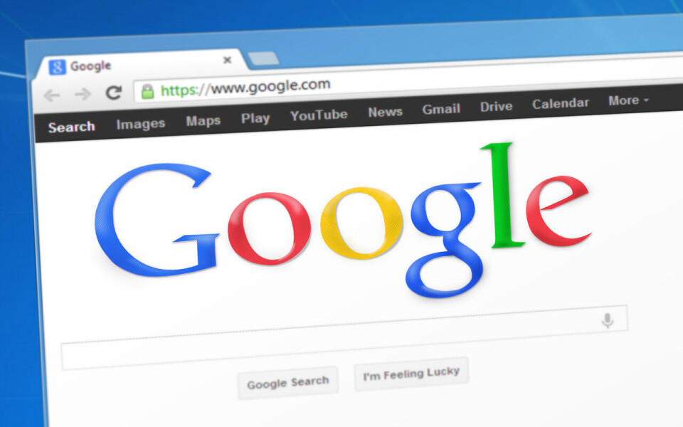 KJØPER TOMT: Google har kjøpt en tomt på nærmere 2.000 mål i Skien.