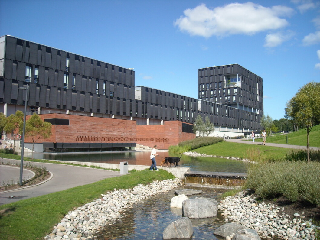 DIGITAL UNDERVISNING: Universitetet i Oslo er bare ett av mange læresteder som nå åpent deler sine erfaringer og tips for å undervise i situasjonen som har oppstått. (Foto: UiO/Wikimedia/Kjetil Ree)