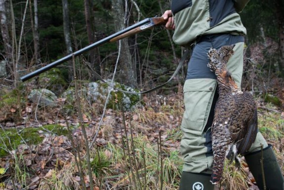 STADIG FLERE: I fjor kunne 50.000 norske jegere teste ut digital informasjon i Altinn. I år får flere denne muligheten. (Foto: Sigve Reiso, naturarkivet.no)