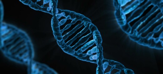 Bekymret for DNA-testing