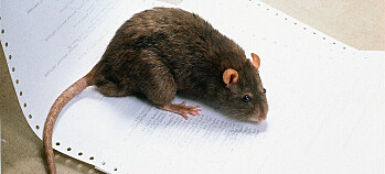 Smarte rottefeller gir mindre søl