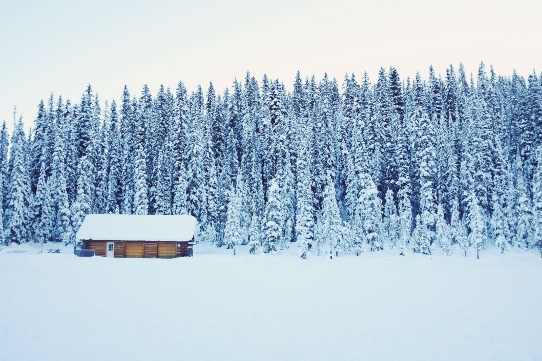 ØDELAND: Norge mangler det som gjør oss attraktive på et globalt marked, skriver Arne Joramo. Foto: Unsplash/Pixabay ØDELAND: Norge mangler det som gjør oss attraktive på et globalt marked, skriver Arne Joramo. Foto: Unsplash/Pixabay
