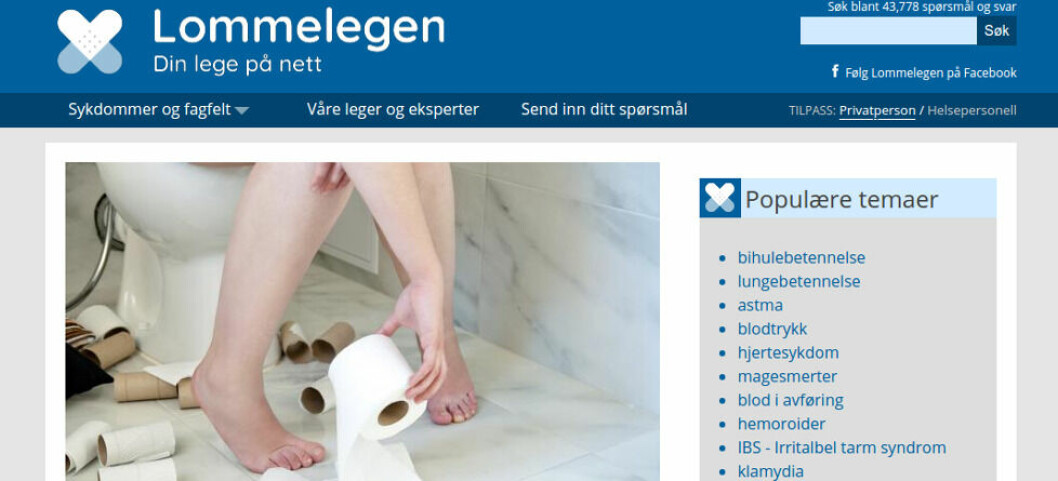 LEGE PÅ NETT: Internett er fullt av helseråd, også på norsk. (Skjermdump: Lommelegen)