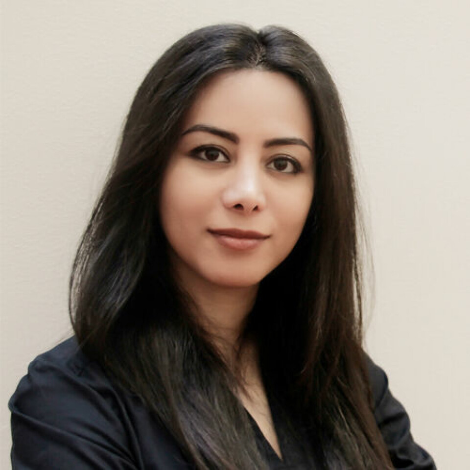 Sepideh Kanani, Item Consulting