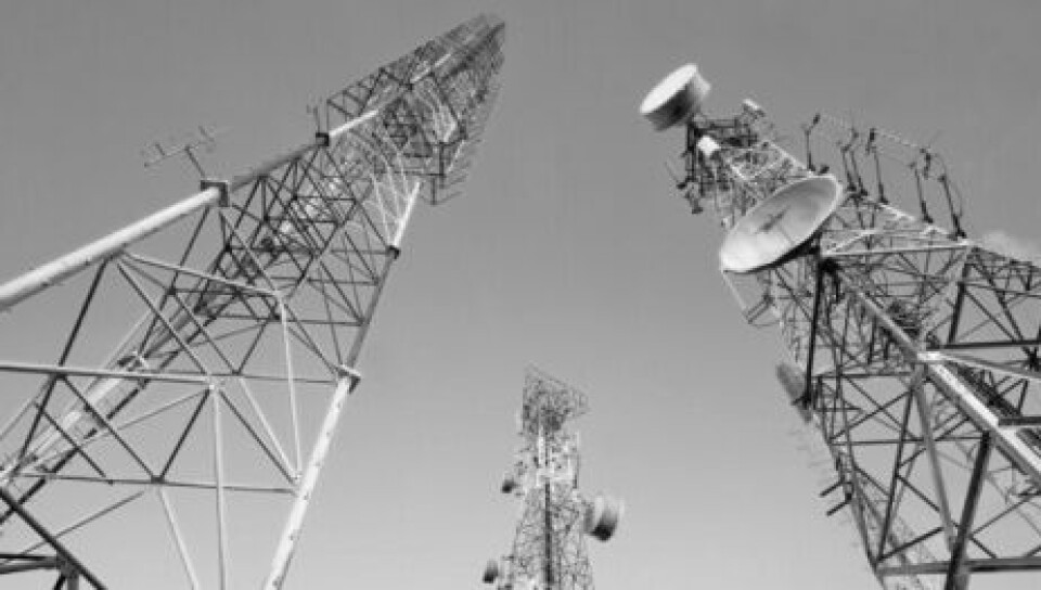 RÅDYR: Hvis den norske auksjonen blir av samme kaliber som den svenske, kan det bli svært dyrt.