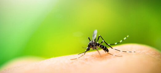 Stordataanalyse mot resistent malaria