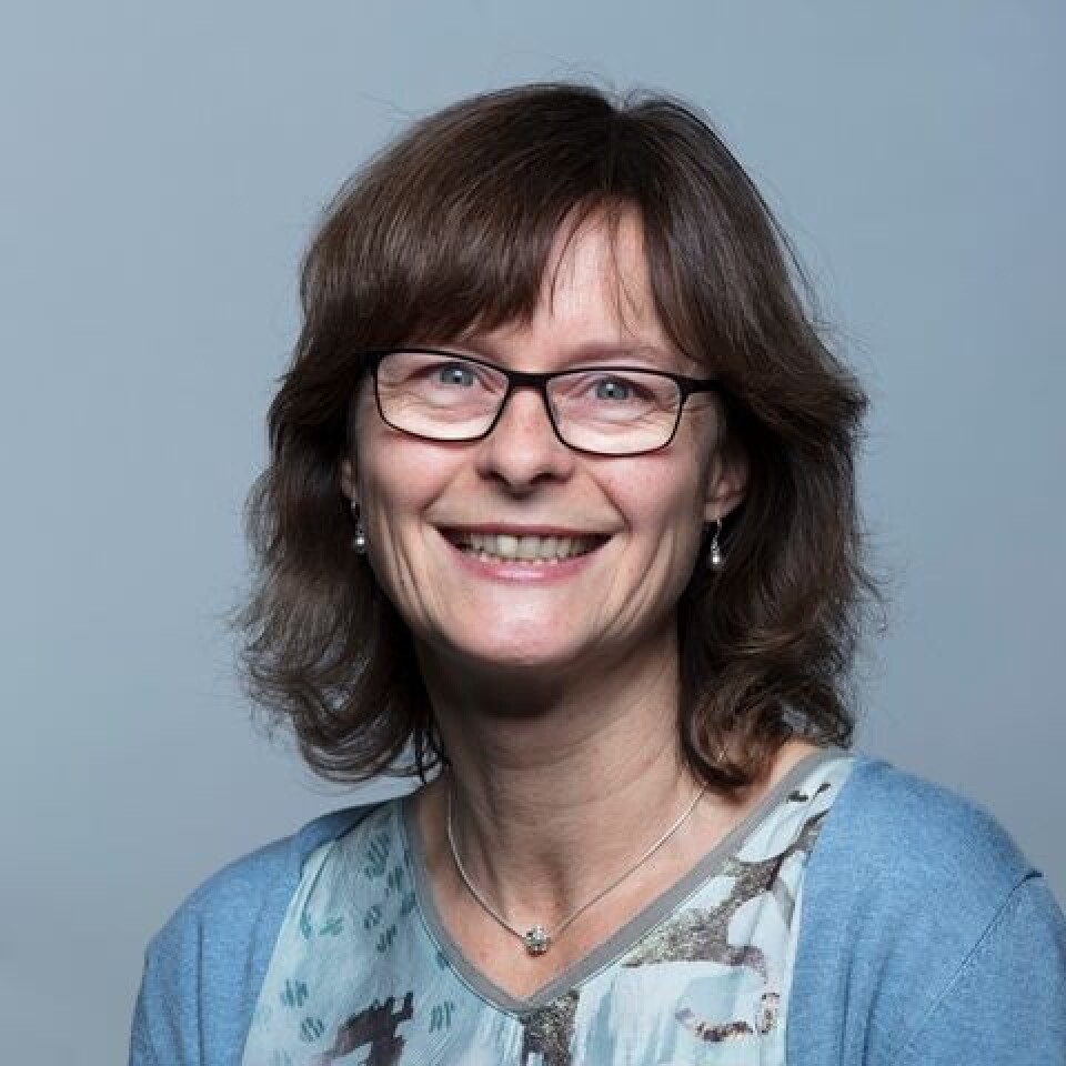 Ragnhild Halvorsrud,Sintef Ragnhild Halvorsrud,Sintef